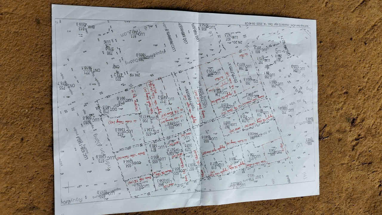 Học Bơi Quận 11